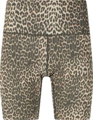 Athlecia Windia V2 W Printed Short Tights Damen Laufshorts