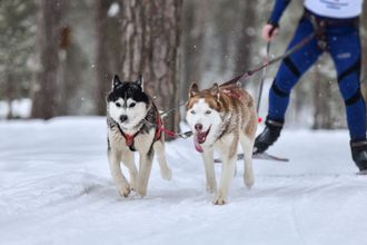 5 Wintersportarten, die du unbedingt ausprobieren solltest