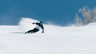 Spyder kommt aus Colorado