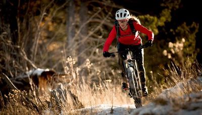 Scott ist Top-Ausrüster für Radsportler