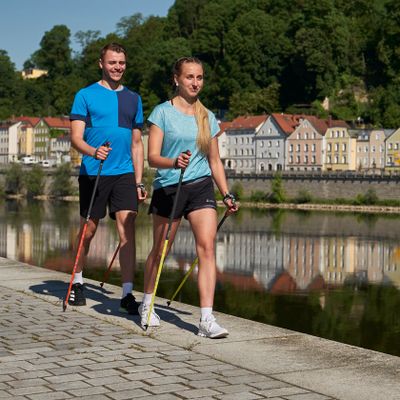 Nordic-Walking-Stock