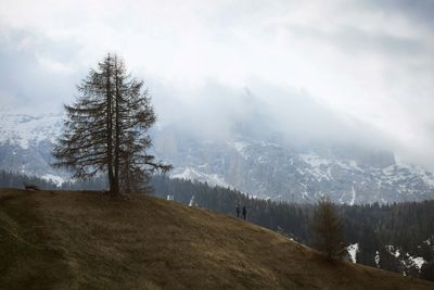 Um die Umwelt zu schützen, arbeitet Dolomite auch mit externen Initiativen und Partnern zusammen.
