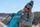 Ridgeline Short Camp Chair