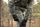 Hiker Drymaxx 3L Ventilated Pants Women's