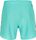 Coast Ocean 15'' Swim Shorts