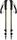 Trail Explorer Trek Poles