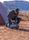 Ridgeline Camp Chair