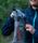 Roamer Tarp Large