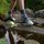 Light Hiker 1/4 Lightweight With Cushion