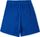 Brights Terry Shorts