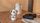 Tongass Enamel Kettle