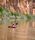 Litewater Dinghy (lwd) Packraft