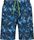 MAN Medium Shorts