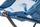 Stargaze Reclining Camp Chair