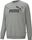 Essentials Big Logo Crew TR