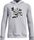 Boys' Curry Big Splash Hoodie