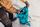 Alpinisto 38 LT Medium/Large