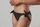 Anise Bottoms