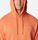 Viewmont II Sleeve Graphic Hoodie