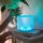 Luci Color Essence