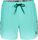 Coast Ocean 15'' Swim Shorts