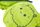 Tension Junior Sleeping Bag