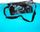 WR Money Belt M