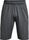 Men's UA Raid 2.0 Shorts