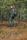 Hiker Drymaxx 3L Ventilated Pants Women's