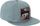 Embroidered Earthscape Ballcap