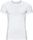 BL TOP Crew Neck Short Sleeve Performance Light
