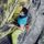 LSP Chalk Bag