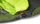 Tempo™ 35 Men's Synthetic Sleeping Bag