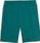 Essentials Elevated Shorts 9" TR