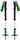 Expedition 3 Ski Poles