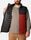 Powder Lite Vest