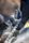 Tradesman Multi Tool