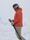 Nordic W Arcty II Ski Jacket