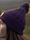 Bobble Beanie (rpet) - Berry