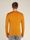 Men Merino 200 Oasis Long Sleeve Crewe Ruapehu Round