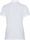 Polo Shirt Short Sleeve NEW Trim