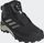 Terrex Winter Mid Boa Hiking Shoes