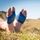GEL Plantar Protector