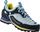 Dragontail MNT GTX WMS
