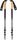 Alpine Carbon Cork Trek Poles