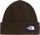 Salty Lined Beanie
