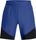 Vanish Elite Hybrid Short