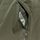 W Monic Gemini 3in1 Jacket
