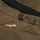 Women's Sultrac Adventure Pant