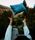 Coast Travel Pillow